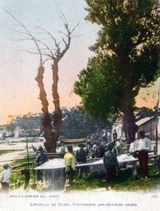 1903年ポルトガル、ポルト近郊のロードエロドオウロ 作： Unbekannt