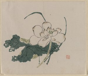 Lotus Blossom、1368-1644。 作： Unbekannt