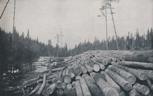 製材、1924 作： Unbekannt