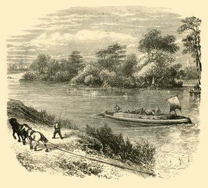 マグナチャータ島、1890年。 作： Unbekannt