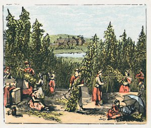 メードストン、c1910 作： Unbekannt