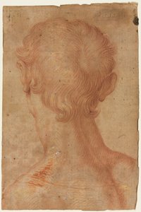 Mans Head from the Back、16世紀。 作： Unbekannt