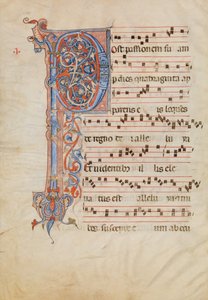 葉状の頭文字Pが描かれた写本の葉、イタリア、1250年から60年頃 作： Unbekannt
