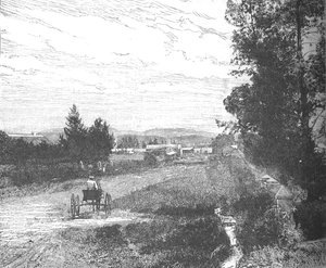 マーケットストリート、プレトリア、c1880s 作： Unbekannt