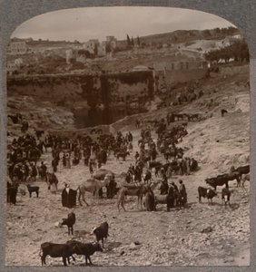 ギホンのプールでの市場の日、c1900 作： Unbekannt