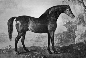 マルスケ、1750〜1779年、1911年 作： Unbekannt