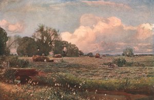 Meadow Sweets、1893、c1902。 作： Unbekannt