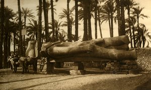メンフィス-ラムセス2世の巨大な像、c1918-c1939。 作： Unbekannt