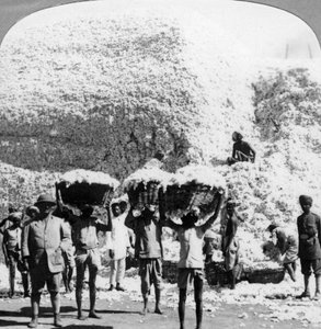 インドのインドール綿工場で綿のバスケットを運ぶ男性、1900年代