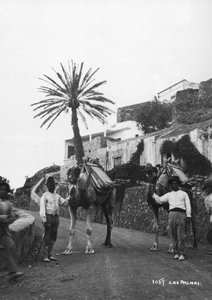 ラクダの男性、ラスパルマス、グランカナリア島、カナリア諸島、スペイン、c1920s-c1930s 作： Unbekannt