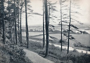 メナイ-バンゴーウッドから、1895