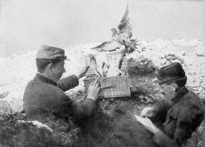 第一次世界大戦、1915年の最前線で解放されているメッセンジャーハト