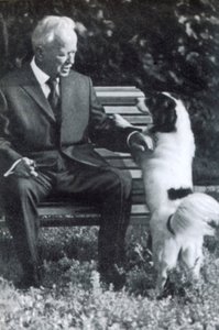 ミハイル・ショロホフ、ロシアの作家、ヴェシェンスカヤ、ソ連、1960年代