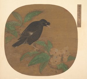 ビワの枝にミナ鳥。 作： Unbekannt
