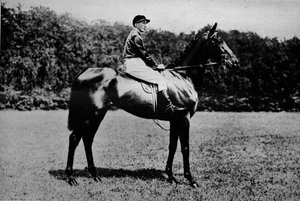 実る、1911