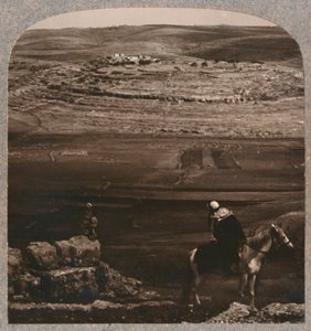 ミズペ、ジェイコブスプララーオブストーンズ、c1900 作： Unbekannt