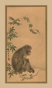 猿、19世紀、1886 作： Unbekannt