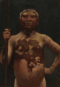 モンタナ インディアン、カリフォルニア州。 1890-1892。 作： Unbekannt