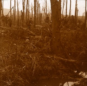 ケンメル山、フランダース、ベルギー、c1914-c1918 作： Unbekannt