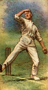 JCホワイトサマセット氏、1928年。 作： Unbekannt