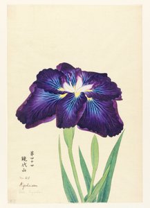 Mt. Kyodai (Kyodaisan) 作： Unbekannt