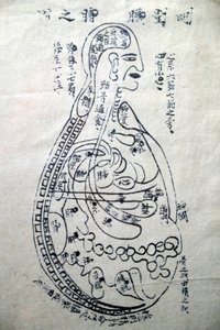 ベトナム伝統医学博物館、チャンネルと容器、鍼灸の本、ベトナム、ホーチミン市 作： Unbekannt