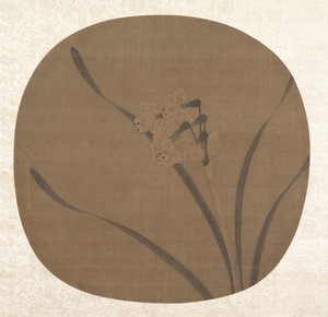 水仙、13世紀。 作： Unbekannt