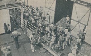 ジャマイカのキングストンでバナナを積んだ先住民、スコットランドの詩篇1937年 作： Unbekannt