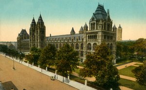 自然史博物館、ロンドン、c1910。 作： Unbekannt