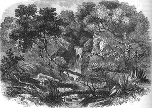ニュージーランドの風景、c1880 作： Unbekannt