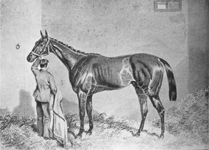 ニューミンスター、1848-1868、1911 作： Unbekannt