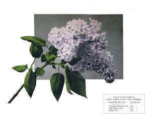 タイトルなし-John Kidd＆Co. Ltd.のサンプル、1910 作： Unbekannt