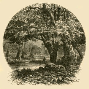 ブラッドゲートのオークス、1898年。 作： Unbekannt