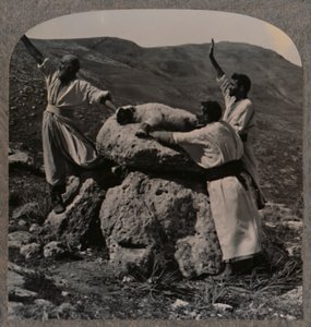 祭壇、モレ、c1900で子羊の犠牲を捧げる 作： Unbekannt