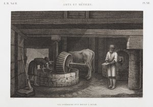 油脂・ワックス類 エジプト 1798年頃 製油所 作： Unbekannt