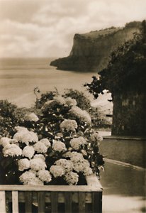 オールドシャンクリンヘッド、IW、c1920。 作： Unbekannt