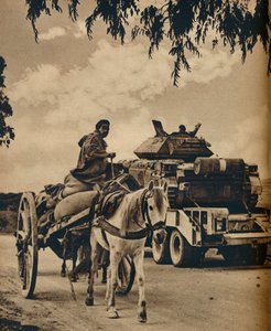 北アフリカの新旧、1943