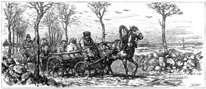 ロシア、サンクトペテルブルク近くの道路、1882年 作： Unbekannt