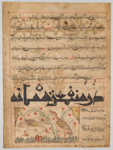 マナフィ・アル・ハヤワンからのウズラの利点について...、c。 1300。 作： Unbekannt