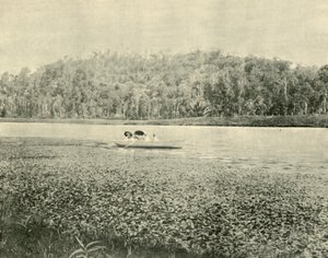 エノゲラ湖、1901年。 作： Unbekannt