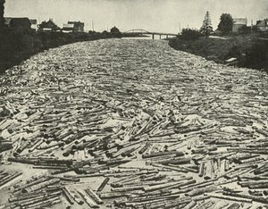 製材所へ向かう途中、c1948。 作： Unbekannt