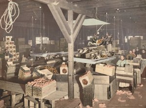1899 年に出版された Redlands の Orange Packing。 作： Unbekannt