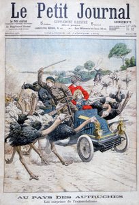 車を攻撃するダチョウ、カリフォルニア、アメリカ、1904 作： Unbekannt