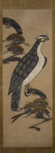 松に隼の乙絵、18世紀。 作： Unbekannt