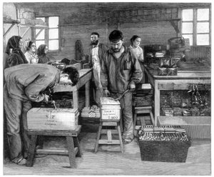 1893年、スイスのフルレン近くのアイルテンでカートリッジを箱に詰める 作： Unbekannt