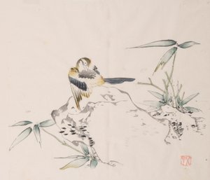 shi Z Hu Zのページもございます。