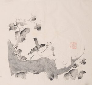 shi Z Hu Zのページもございます。