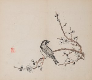 shi Z Hu Zのページもございます。