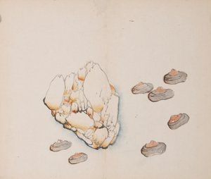 shi Z Hu Zのページもございます。 作： Unbekannt