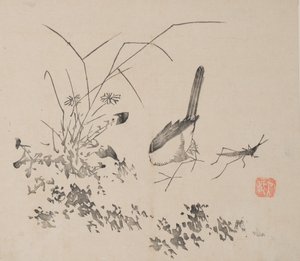 shi Z Hu Zのページもございます。